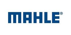 Mahle